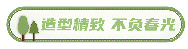 安凱客車 安凱N8 高品質(zhì)春游