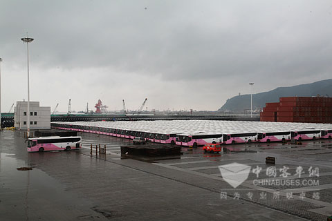 3000臺(tái)安凱校車出口沙特