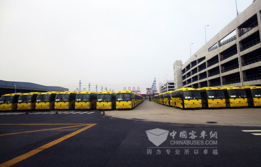 446臺(tái)9米申龍校車停靠在上海浦東新區(qū)海通新汽車碼頭廣場(chǎng)上整裝待發(fā)