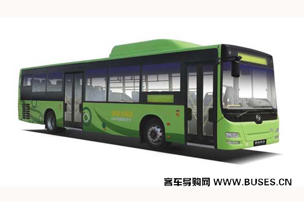 黃海DD6129B50N公交車（天然氣國(guó)五22-46座）