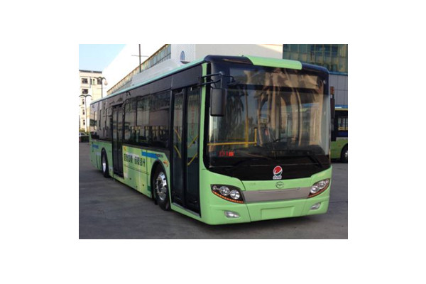 五洲龍F(tuán)DG6121EVG公交車(chē)（純電動(dòng)10-31座）