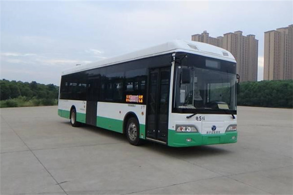 揚子江WG6120BEVHM6公交車（純電動29-45座）