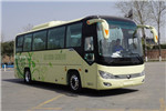 宇通ZK6906BEVQY52客車（純電動(dòng)24-39座）