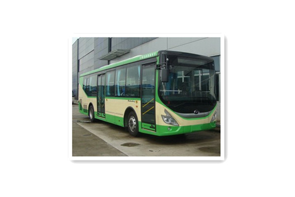 五洲龍F(tuán)DG6103EVG公交車(chē)（純電動(dòng)10-33座）