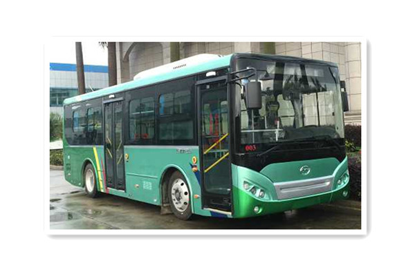 五洲龍F(tuán)DG6851EVG8公交車（純電動(dòng)10-28座）