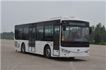 安凱HFF6100G03CHEV12插電式公交車（柴油/電混動(dòng)國五10-36座）