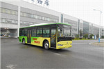 亞星JS6101GHBEV17公交車(chē)（純電動(dòng)12-36座）