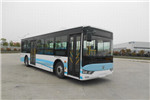 亞星JS6108GHBEV11公交車(chē)（純電動(dòng)10-42座）