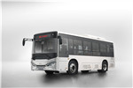 中車(chē)電動(dòng)TEG6801BEV01公交車(chē)（純電動(dòng)10-29座）