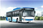 南京金龍NJL6100EVG1公交車（純電動19-37座）