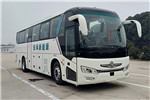 東風(fēng)旅行車DFA6118LBEV客車（純電動(dòng)24-50座）