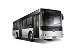 中車電動TEG6105BEV10公交車（純電動20-39座）