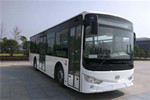 安凱HFF6100G03CHEV26插電式公交車(chē)（NG/電混動(dòng)國(guó)五18-36座）