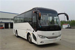 安凱HFF6819KDE5B客車(chē)（柴油國(guó)五24-34座）