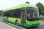 安凱HFF6120G03FCEV公交車(chē)（燃料電池20-39座）