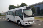 安凱HFF6701GDE5FB公交車（柴油國五10-23座）