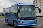 比亞迪BYD6811HZEV公交車（純電動(dòng)16-34座）