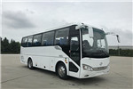 海格KLQ6829KAE50客車（柴油國五24-36座）