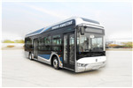 亞星JS6128GHFCEV公交車(chē)（燃料電池21-46座）