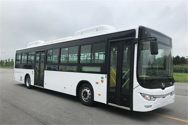 黃海DD6129EV20公交車（純電動24-46座）