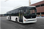 遠程DNC6120BEVG3低入口公交車（純電動21-46座）