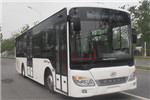 安凱HFF6101G03CHEV-1插電式公交車(chē)（柴油/電混動(dòng)國(guó)五10-36座）