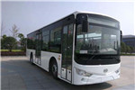 安凱HFF6100G03PHEV2插電式公交車（天然氣/電混動(dòng)國五18-36座）