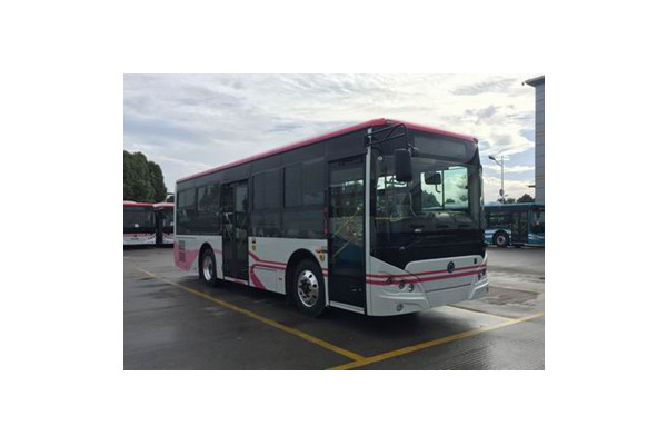 申龍SLK6859ULE0BEVS1公交車(chē)（純電動(dòng)10-29座）