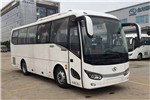 金龍XMQ6879AYD5C客車（柴油國五24-38座）