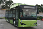 天津比亞迪TJK6105BEV低入口公交車（純電動(dòng)18-28座）