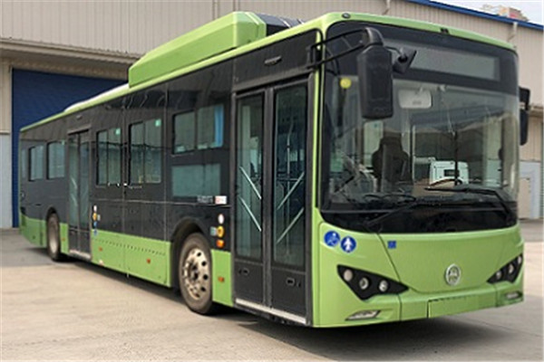 天津比亞迪TJK6120GCLEV低入口公交車（純電動23-45座）