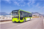 浙江中車(chē)CSR6100GCHEV1公交車(chē)（柴油/電混動(dòng)國(guó)五25-38座）