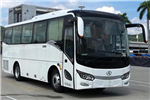 金龍XMQ6885AYD6T客車（柴油國六24-40座）