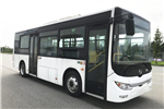 黃海DD6851EV8公交車（純電動14-27座）