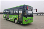 東風(fēng)旅行車(chē)DFA6800EBEV7公交車(chē)（純電動(dòng)14-29座）